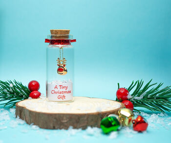 Personalised Christmas Reindeer Tiny Keepsake Bottle Gift, 2 of 4