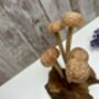 Assorted Wooden Mushroom Forest On Teak Root Wood, thumbnail 12 of 12