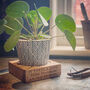 House Plant Pot Stand, thumbnail 2 of 11