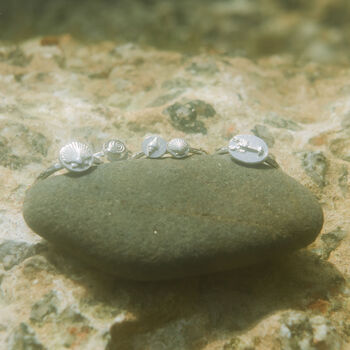 Small Scallop Shell Ring Friends Of The Sea, 2 of 5