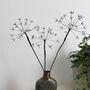 Three Fine Wire Cow Parsley Stems, thumbnail 5 of 9