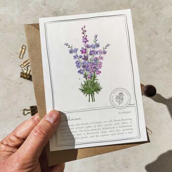 Botanical Garden Flowers Postcards Gift Set, 8 of 10