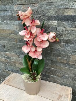 Large Peach Artificial Silk Orchid, 7 of 7