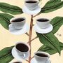 Coffee Botanical Print, thumbnail 7 of 9