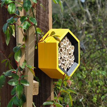 Bee House, 3 of 5