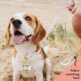 Personalised Wedding Dog Collar And Ring Bearer Pouch, thumbnail 4 of 10