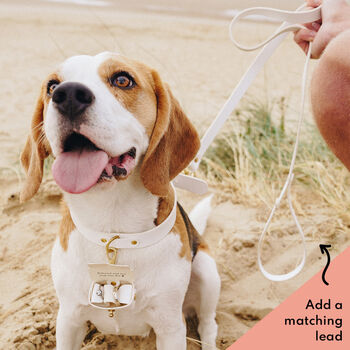 Personalised Wedding Dog Collar And Ring Bearer Pouch, 4 of 10