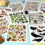 Wildlife Of Britain Postcard Pack Volume Two, thumbnail 5 of 11