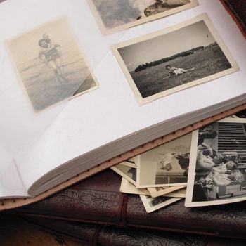Leather Tree Of Life Embossed Photo Album, 9 of 12