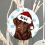Christmas Personalised Dog Decoration, thumbnail 8 of 12