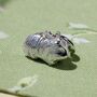 Sterling Silver Long Haired Guinea Pig Charm, thumbnail 1 of 10