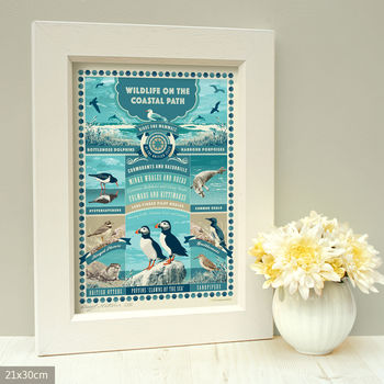‘British Coastal Wildlife Art Print’ Coastal Gift, 4 of 7