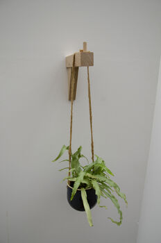 Plant/Lamp Hanger, 2 of 8