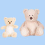 Personalised Soft Toy Teddy Cupid Gift, thumbnail 3 of 5