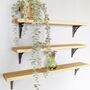 Natural Wood Shelf With Decorative Brackets, thumbnail 2 of 4