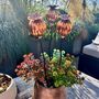 Set Of Three Copper Seed Head Garden Planter Stakes, thumbnail 1 of 9