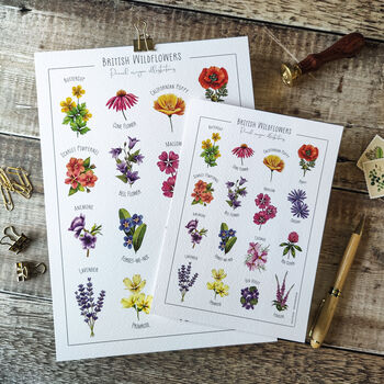 Wildflower Art Print In Two Sizes Available, A5 And A4, 4 of 5