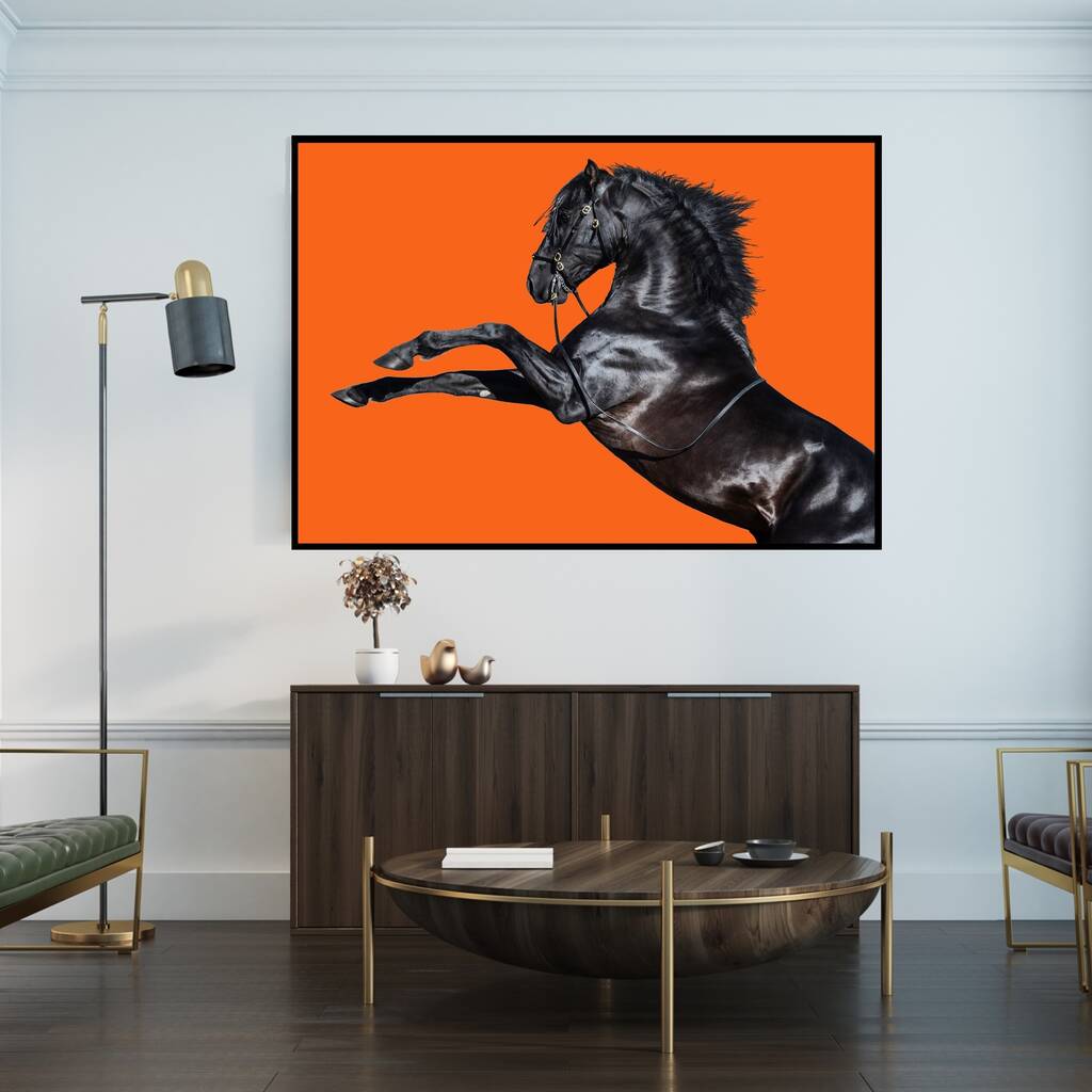 Black And Orange Beauty, Canvas Wall Art By Palm Valley