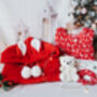 Christmas Snuggle Hoodie And Reindeer Nightie Polar Bear Teddy Gift Box / Christmas Eve Box, thumbnail 1 of 8