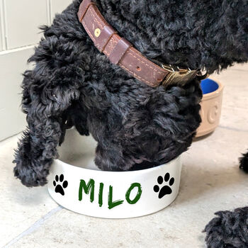 Paint Your Own Pet Bowl, 4 of 7