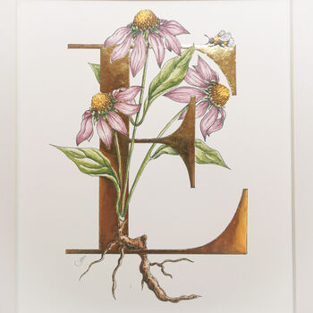 E Is For Echinacea Gilded Initial Print, 4 of 7