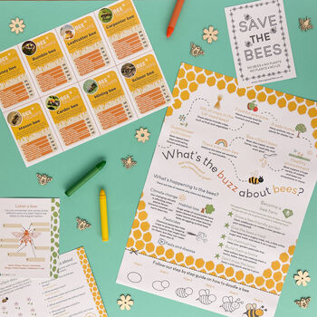 Children's Eco Activity Box: Buzzing Bees, 3 of 10