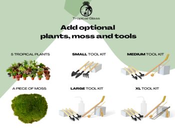 Xl Plant Terrarium Kit With Optional Plants And Tools, 5 of 6
