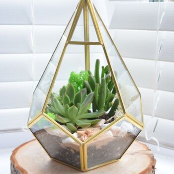 Gold Geometric Terrarium Kit With Succulent Or Cactus Christmas Gift For Plant Lover, 9 of 11