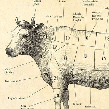 British Butcher Chart, Meat Cuts Diagram, 7 of 8
