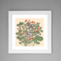 'Song Thrush And Nasturtiums' Print, thumbnail 2 of 3