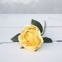 Soft Yellow Rose Bouquet, thumbnail 2 of 8