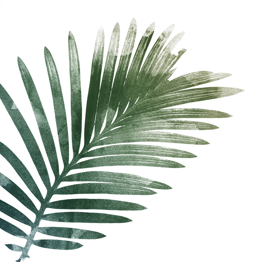 palm leaf art print by georgie st clair | notonthehighstreet.com