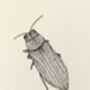 G Is For Goldstriefiger Illustration Print, thumbnail 4 of 6