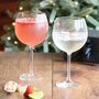 Two Tall Stem Gin Glasses, thumbnail 1 of 7