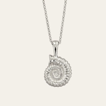 Dainty Silver Ammonite Fossil Necklace, 2 of 3