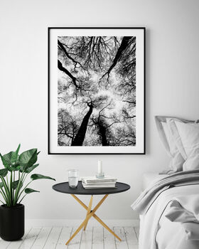 Black And White Trees Print, 6 of 6