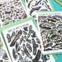 Wildlife Of Britain Greeting Cards Pack Volume Three, thumbnail 6 of 10