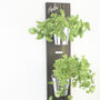 Large Wall Hanging Herb Garden, thumbnail 5 of 7