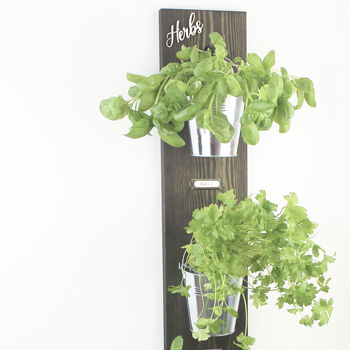 Large Wall Hanging Herb Garden, 5 of 7