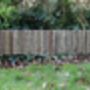 Hazel Wood Garden Fence Border Edging Lawn, thumbnail 5 of 7
