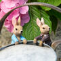 Beatrix Potter Pot Hanger Buddies Set Of Two, thumbnail 1 of 6