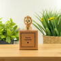 You're Roarsome Tiny Little Gifts, thumbnail 1 of 3