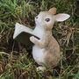 Rabbit With Book Fairy Garden Decoration In Gift Pouch, thumbnail 3 of 5