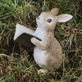 Rabbit With Book Fairy Garden Decoration In Gift Pouch, 3 of 5