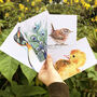 Inky Bird Luxury Postcard Set, thumbnail 10 of 12