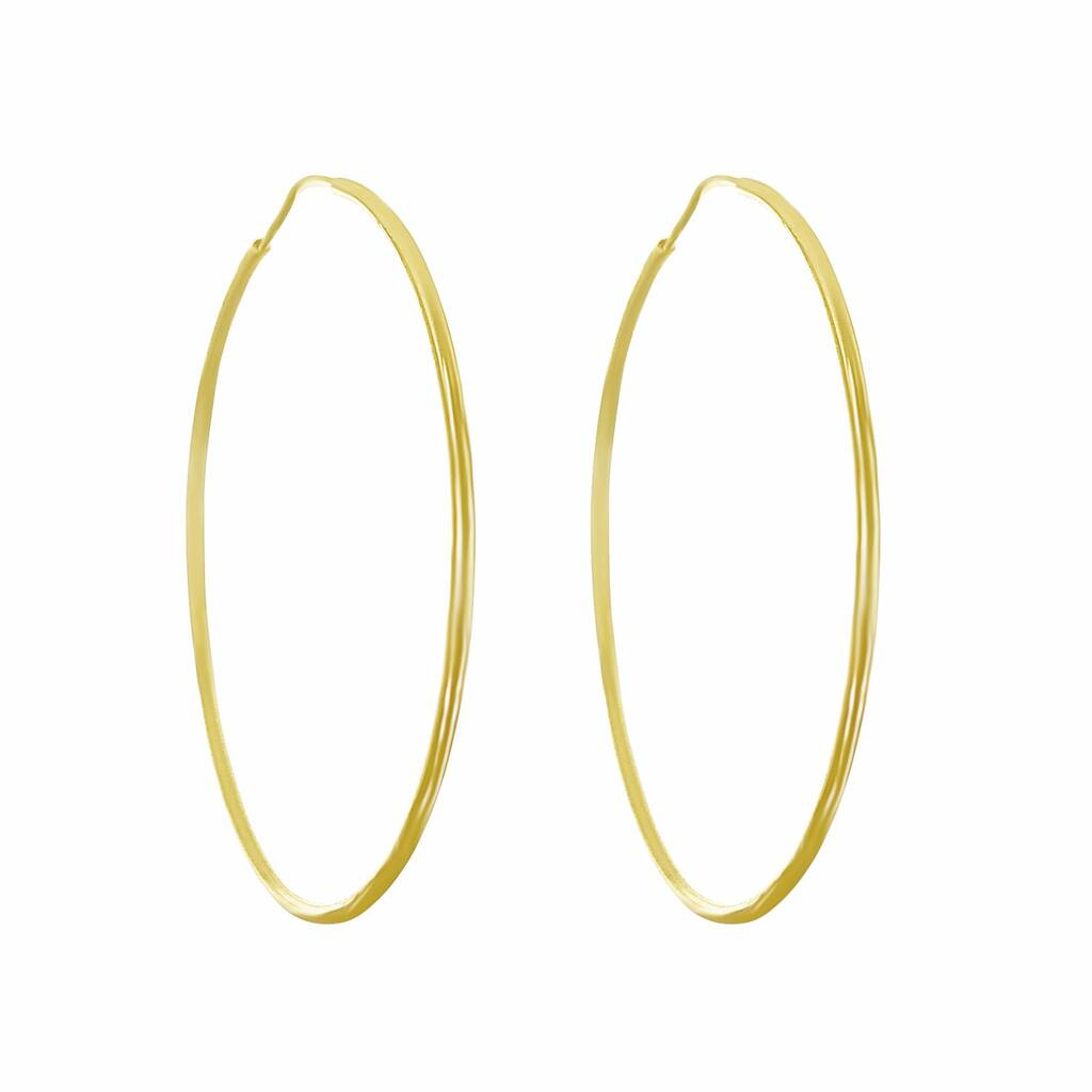 Skinny Gold Hoop Earrings Medium By Talia Naomi Jewellery ...