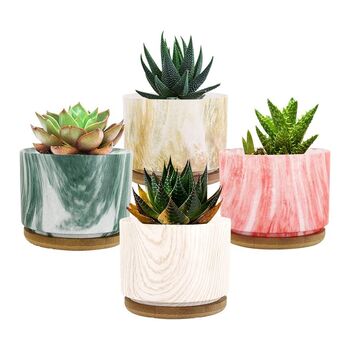 Pack Of Four Mini Colorful Succulent Plant Pots, 5 of 7