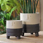 Ceramic 'Arnold' Planters In Grey, thumbnail 1 of 4