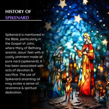 Spikenard Anointing Oil, 3 of 8