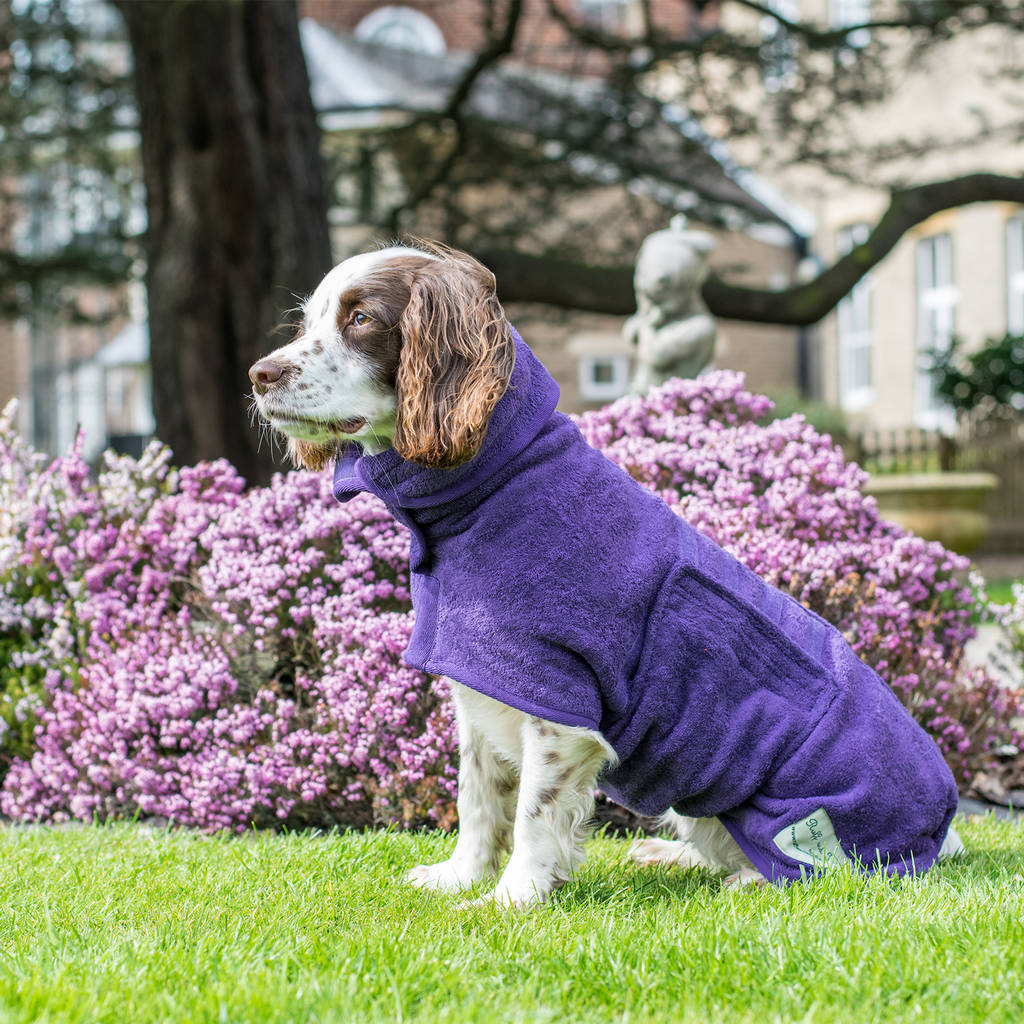 dog drying coat by ruff and tumble